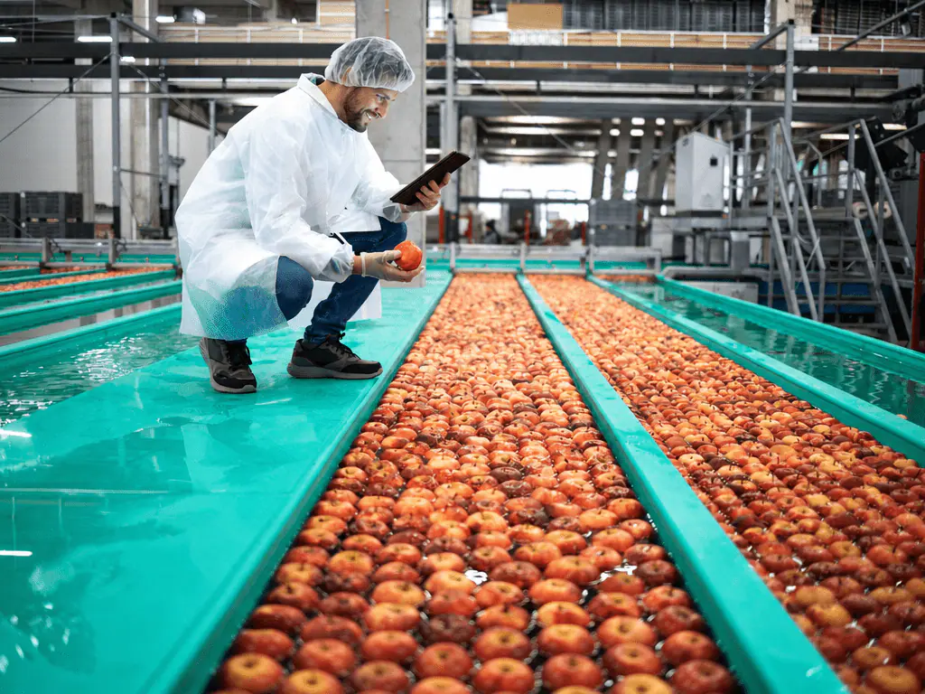 Relevé de température sur un équipement industriel