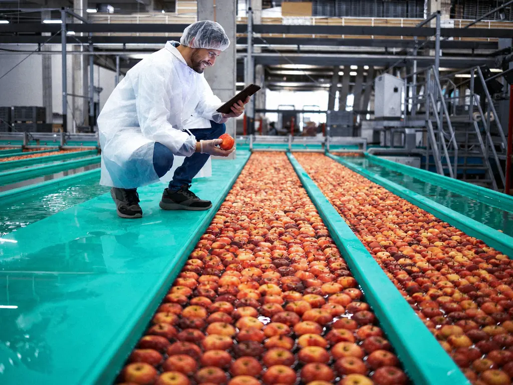 Contrôleur qualité inspectant un fruit sur une ligne de tri agroalimentaire, tablette en main